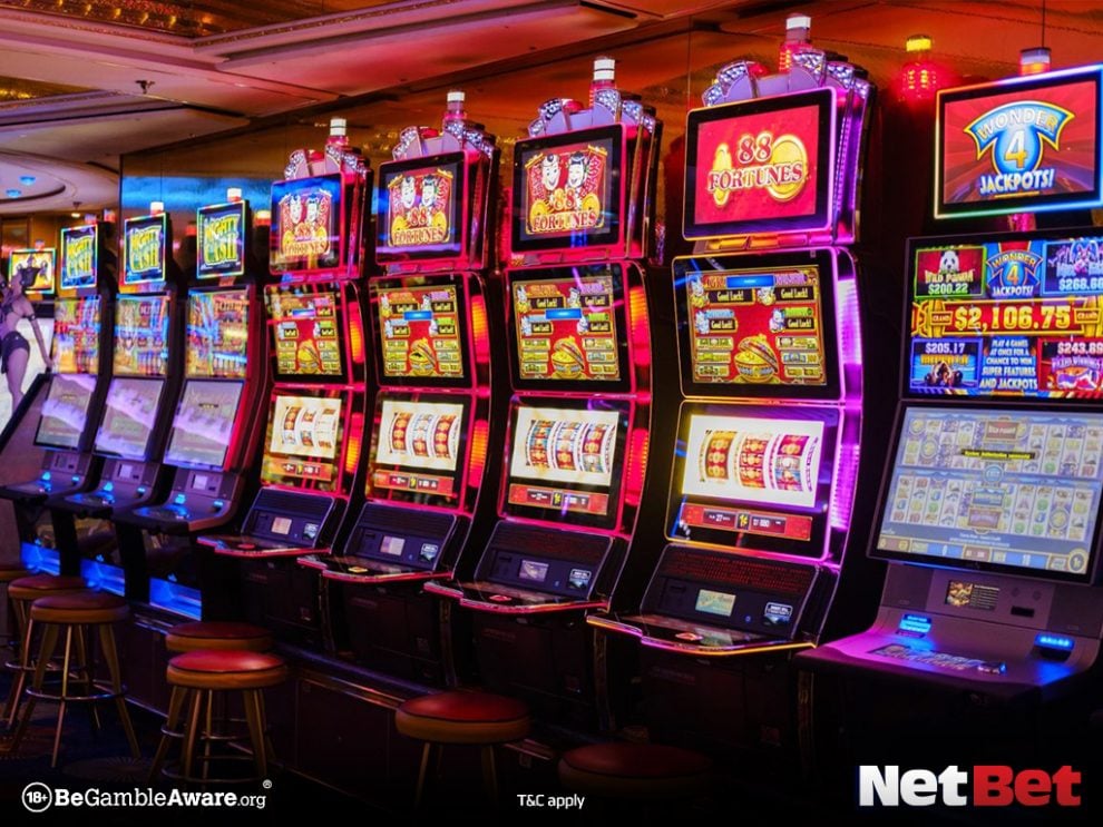 356x|Melhor escolha bingo online confiável Aposte no Brasil